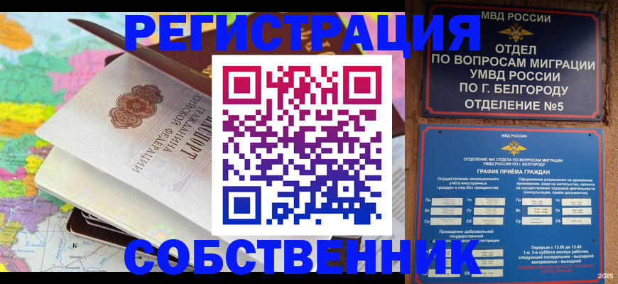 временная регистрация гарантия в Рошале